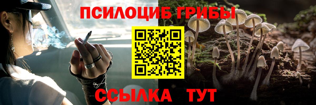 Самара  Псилоцибиновые грибы GOLDEN TEACHER  Вход с VPN 