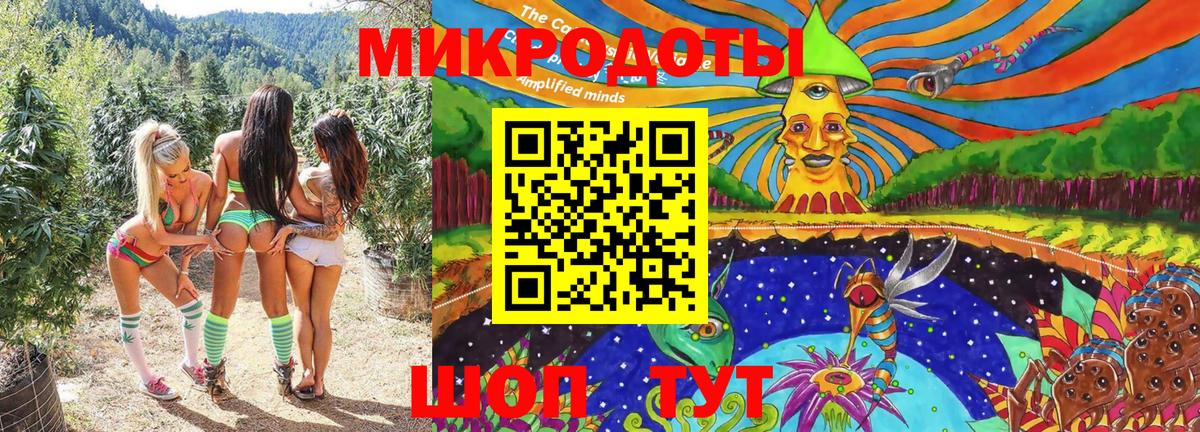 Псилоцибиновые грибы Cubensis Самара